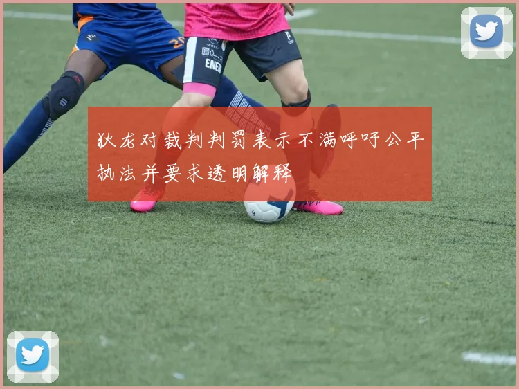 狄龙对裁判判罚表示不满呼吁公平执法并要求透明解释