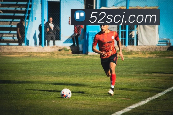 米兰官方网站入口平台生态图